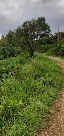 Eleventh image of 3 Bamboo Avenue. Santa Mar in SANTA MARIA, St. Catherine, Jamaica - property is For Sale