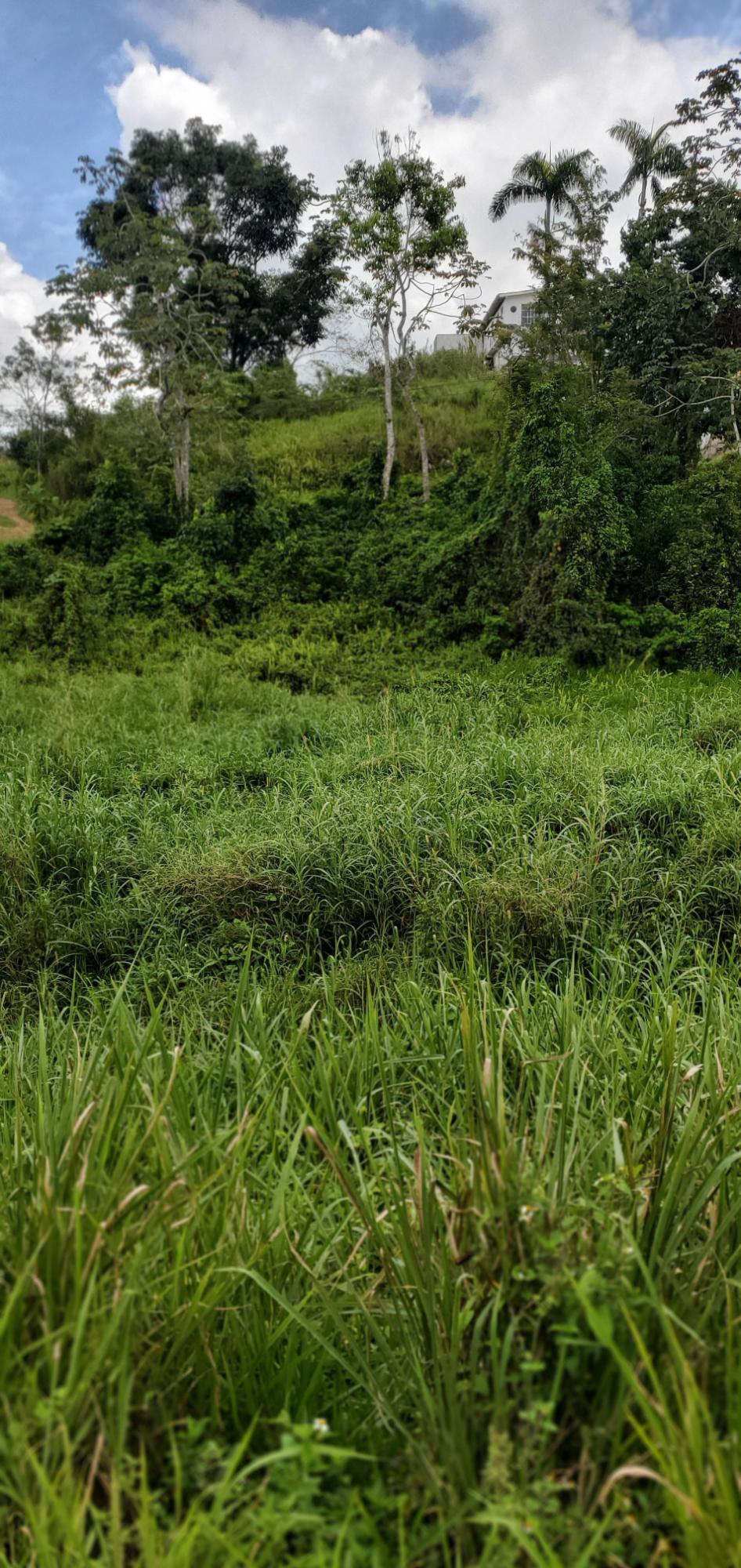 Twelfth image of 3 Bamboo Avenue. Santa Mar in SANTA MARIA, St. Catherine, Jamaica - property is For Sale
