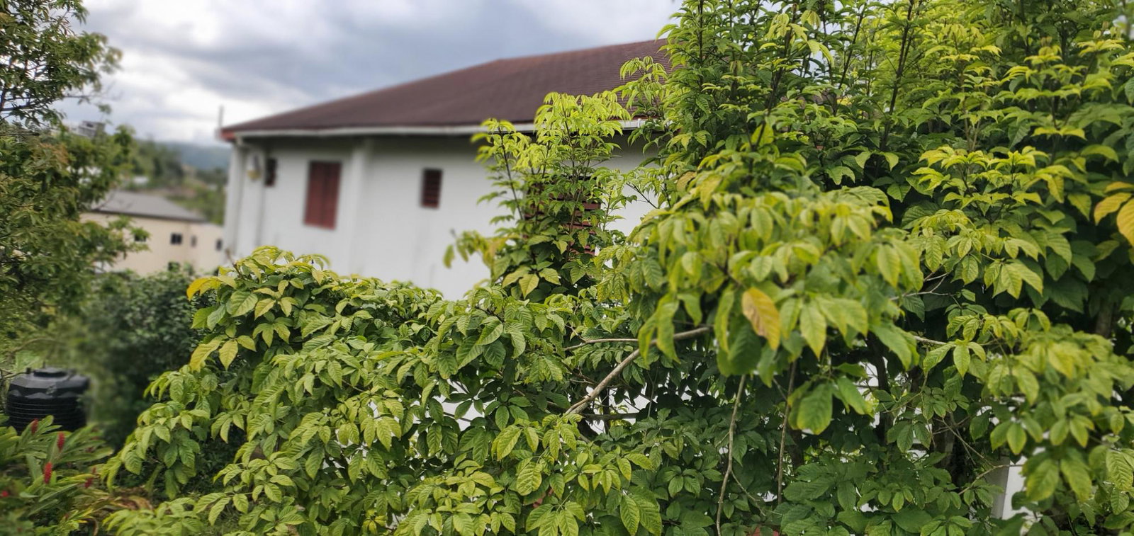 Second image of 3 Bamboo Avenue. Santa Mar in SANTA MARIA, St. Catherine, Jamaica - property is For Sale