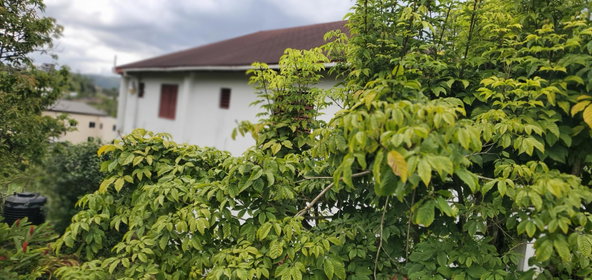 Second image of 3 Bamboo Avenue. Santa Mar in SANTA MARIA, St. Catherine, Jamaica - property is For Sale