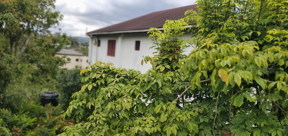 Third image of 3 Bamboo Avenue. Santa Mar in SANTA MARIA, St. Catherine, Jamaica - property is For Sale