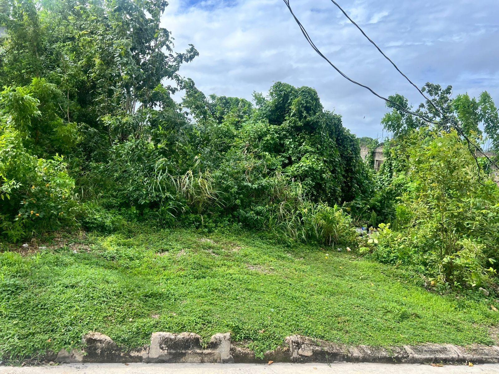 First image of Lot-991 Whitehall in Whitehall, Westmoreland, Jamaica - property is For Sale