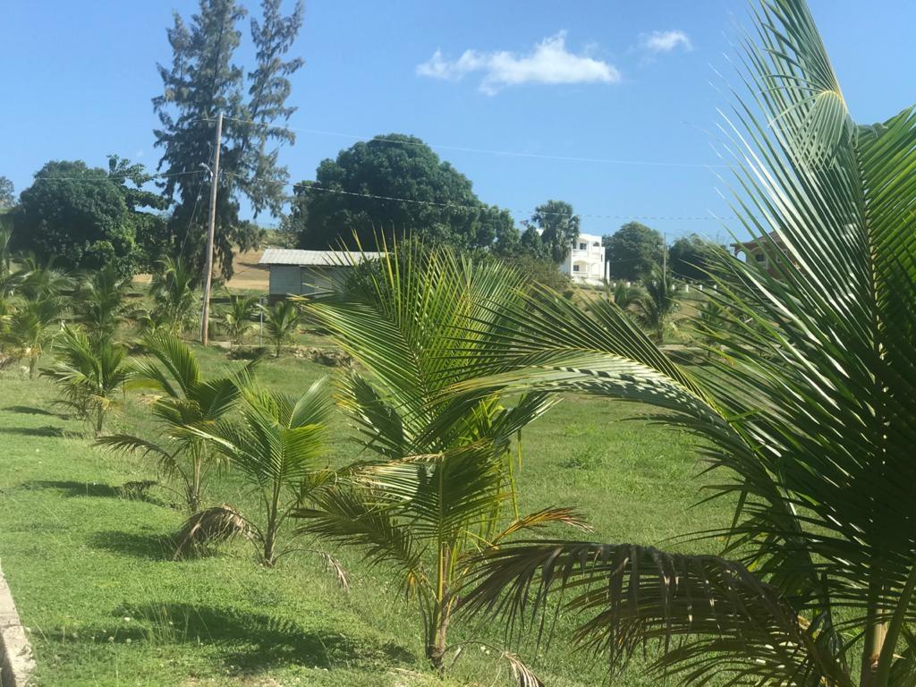 Third image of Lot 8 Paradisio Development in WHITEHOUSE, Westmoreland, Jamaica - property is For Sale