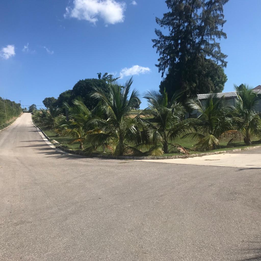 Eighth image of Lot 8 Paradisio Development in WHITEHOUSE, Westmoreland, Jamaica - property is For Sale