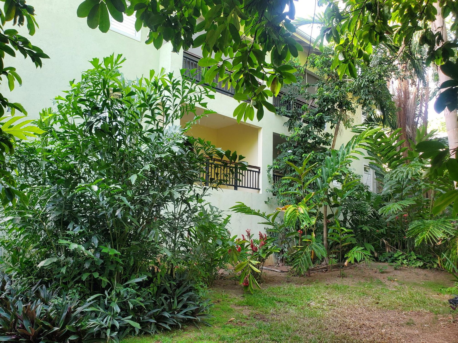 Twenty-Second image of B3- Stillwell Road in Kingston 8, St. Andrew, Jamaica - property is For Rent