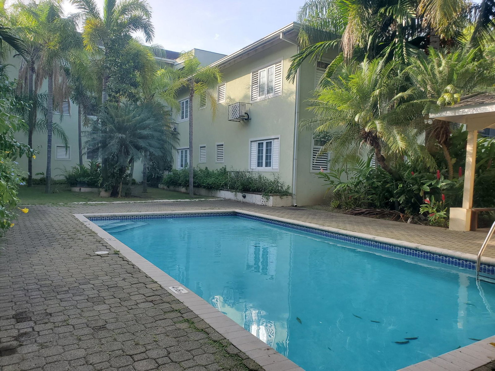 Twenty-Seventh image of B3- Stillwell Road in Kingston 8, St. Andrew, Jamaica - property is For Rent