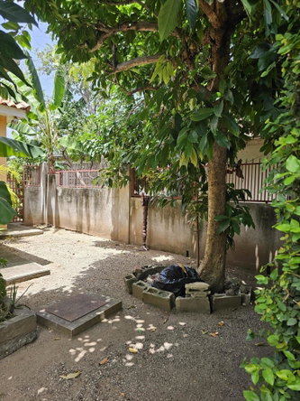 Twenty-Second image of 11b Ponciana Grove in Kingston 19, St. Andrew, Jamaica - property is For Sale