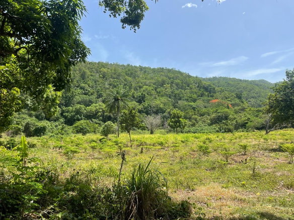 First image of Happy Grove in Red Hills, St. Andrew, Jamaica - property is For Sale