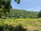 First image of Happy Grove in Red Hills, St. Andrew, Jamaica - property is For Sale