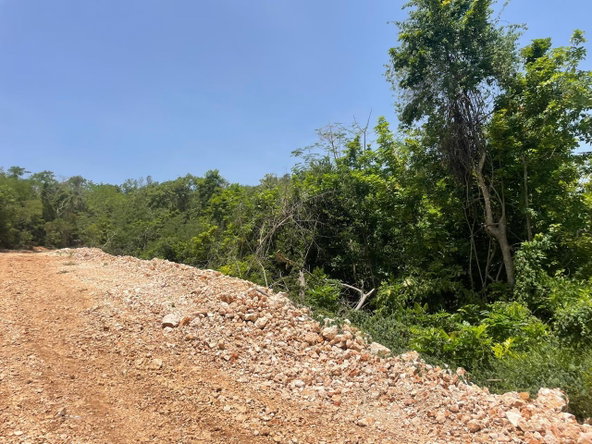 Tenth image of Happy Grove in Red Hills, St. Andrew, Jamaica - property is For Sale