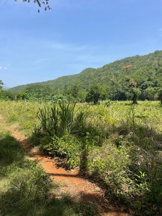 Eleventh image of Happy Grove in Red Hills, St. Andrew, Jamaica - property is For Sale