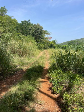 Third image of Happy Grove in Red Hills, St. Andrew, Jamaica - property is For Sale