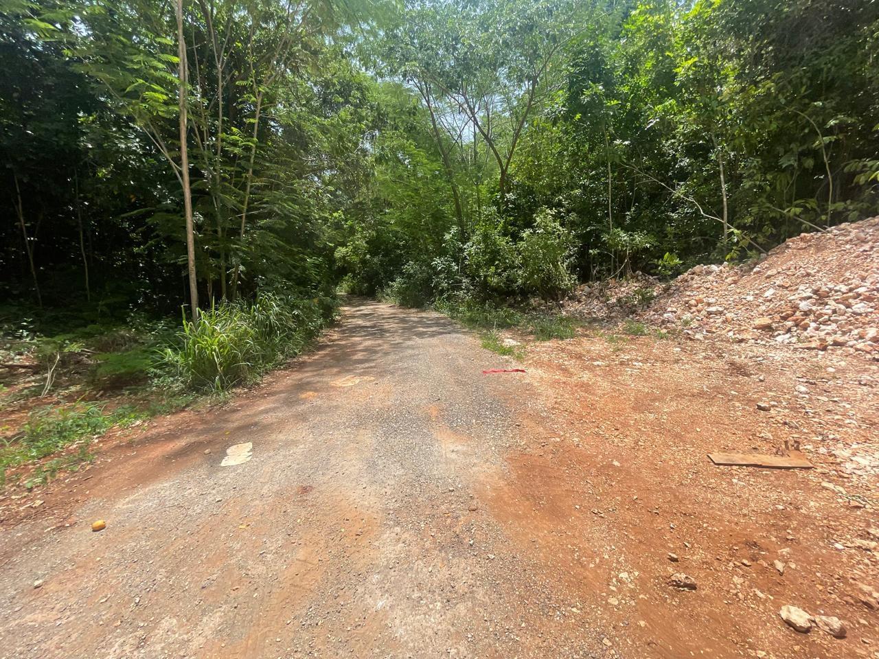 Fifth image of Happy Grove in Red Hills, St. Andrew, Jamaica - property is For Sale
