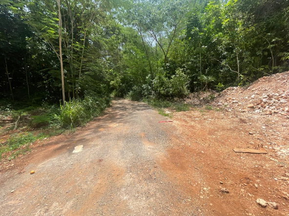 Fifth image of Happy Grove in Red Hills, St. Andrew, Jamaica - property is For Sale