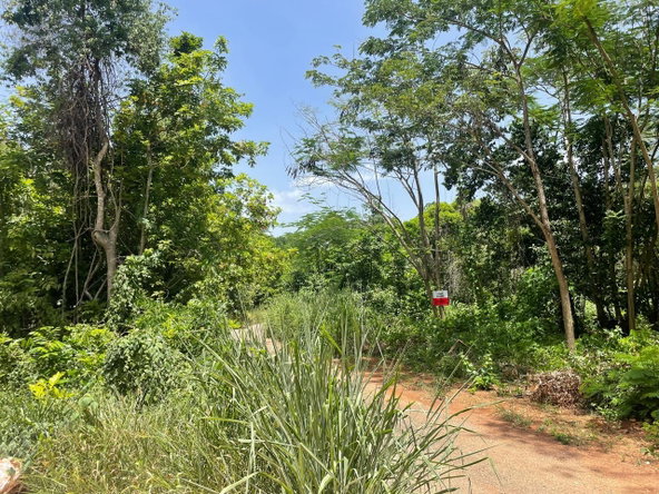 Seventh image of Happy Grove in Red Hills, St. Andrew, Jamaica - property is For Sale