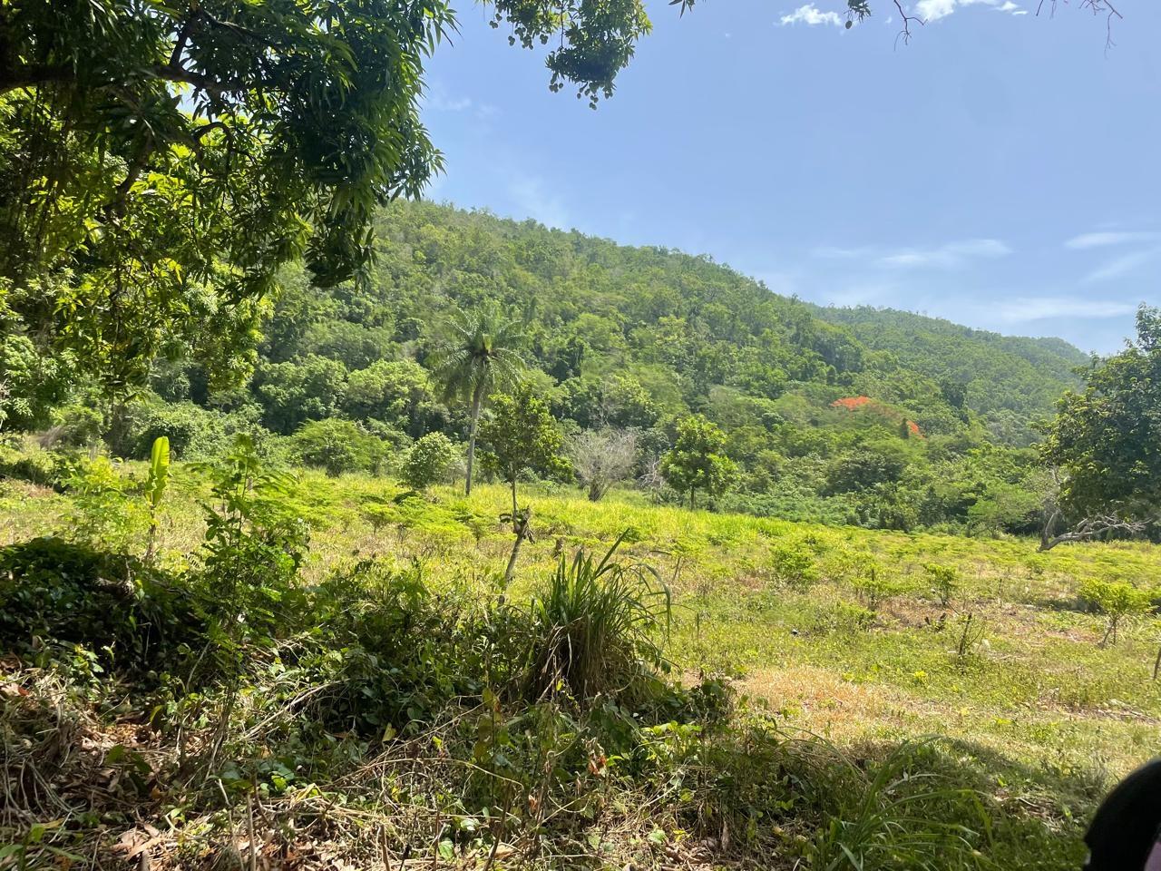 Ninth image of Happy Grove in Red Hills, St. Andrew, Jamaica - property is For Sale