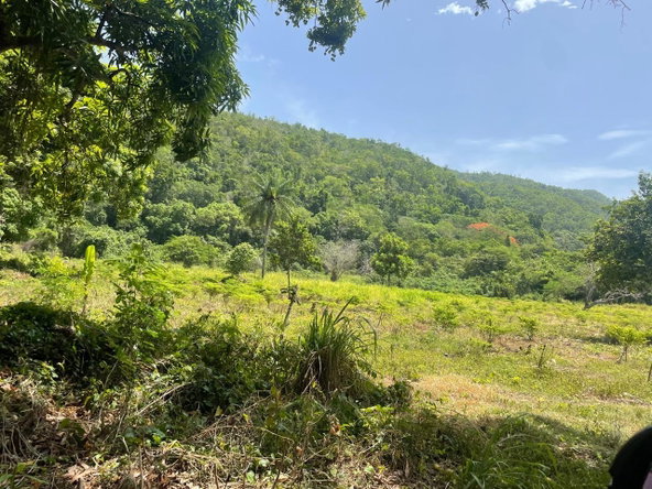 Ninth image of Happy Grove in Red Hills, St. Andrew, Jamaica - property is For Sale