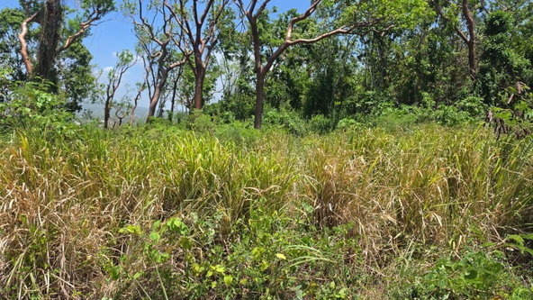 Fourth image of Lot 123 Redwood Housing Scheme, g in Greenside, Trelawny, Jamaica - property is For Sale