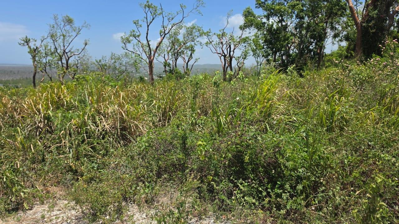 Fifth image of Lot 123 Redwood Housing Scheme, g in Greenside, Trelawny, Jamaica - property is For Sale