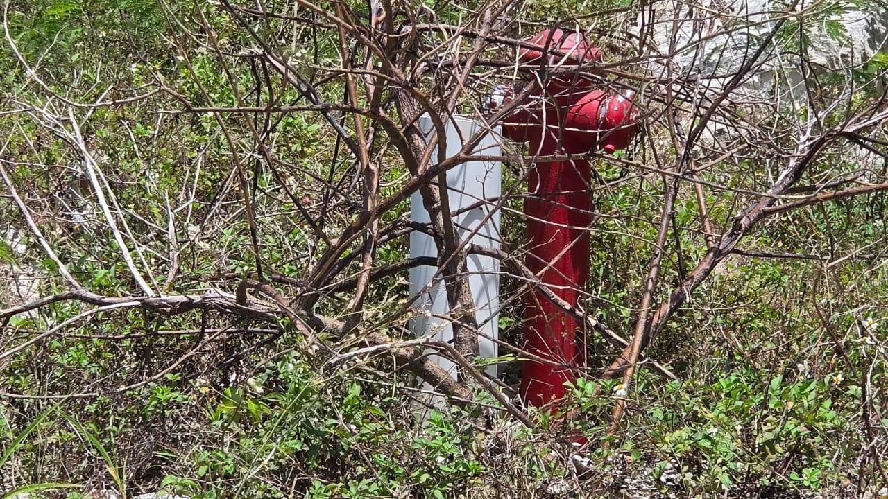 Eighth image of Lot 123 Redwood Housing Scheme, g in Greenside, Trelawny, Jamaica - property is For Sale