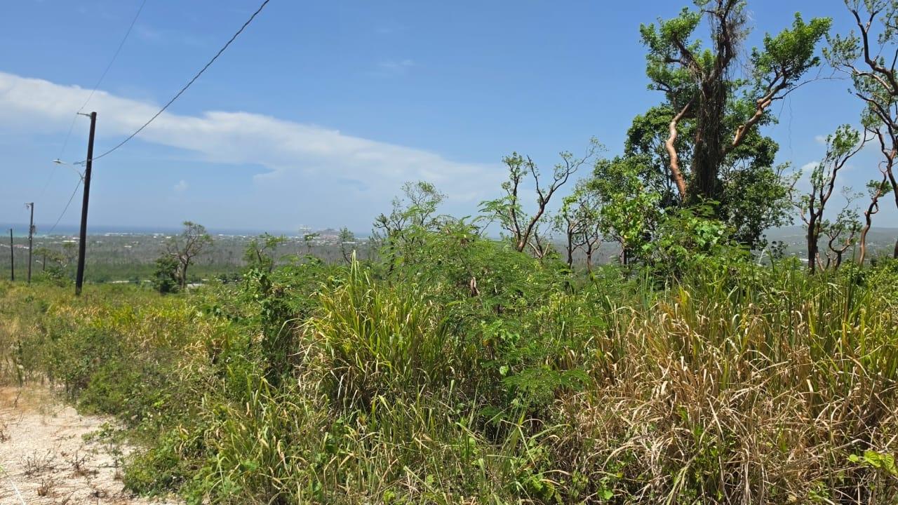 Third image of Lot 129 Redwood Housing Scheme, g in Greenside, Trelawny, Jamaica - property is For Sale