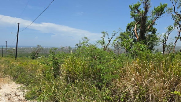 Third image of Lot 129 Redwood Housing Scheme, g in Greenside, Trelawny, Jamaica - property is For Sale