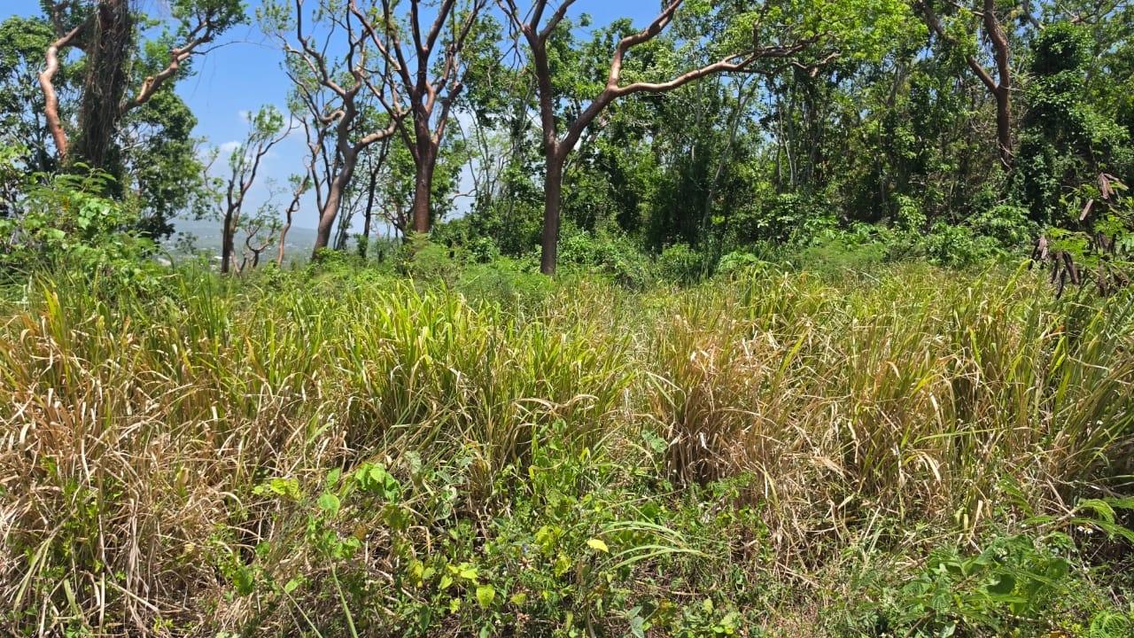 Fourth image of Lot 129 Redwood Housing Scheme, g in Greenside, Trelawny, Jamaica - property is For Sale