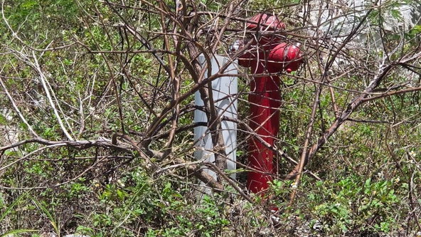 Eighth image of Lot 129 Redwood Housing Scheme, g in Greenside, Trelawny, Jamaica - property is For Sale