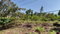 First image of Lot 22 Perthland Crescent in Mandeville, Manchester, Jamaica - property is For Sale