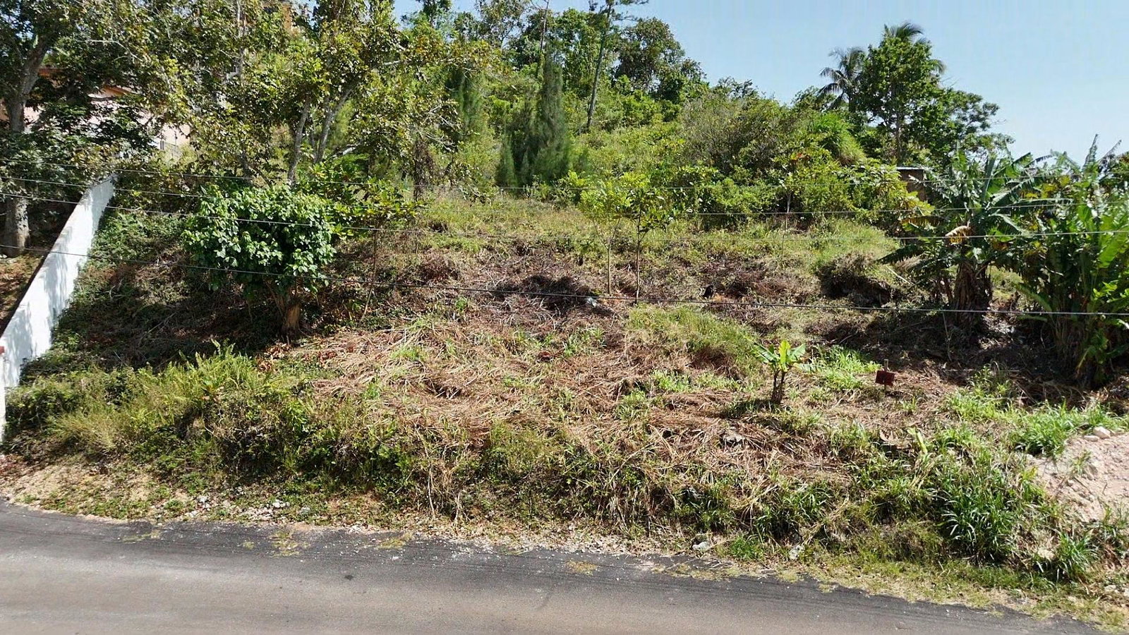 Second image of Lot 22 Perthland Crescent in Mandeville, Manchester, Jamaica - property is For Sale