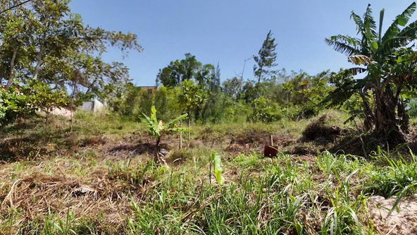 Fifth image of Lot 22 Perthland Crescent in Mandeville, Manchester, Jamaica - property is For Sale