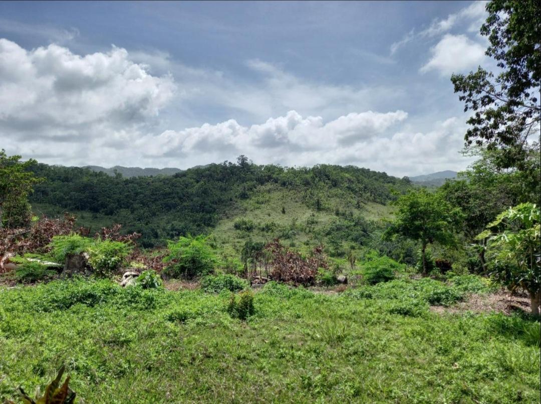 First image of Claremont in Claremont, St. Ann, Jamaica - property is For Sale