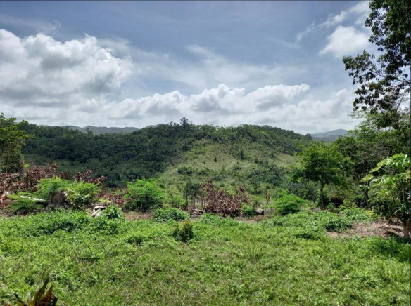First image of Claremont in Claremont, St. Ann, Jamaica - property is For Sale