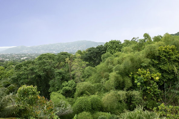 Seventeenth image of 8-1c Tavistock Terrace in Kingston 6, St. Andrew, Jamaica - property is For Sale