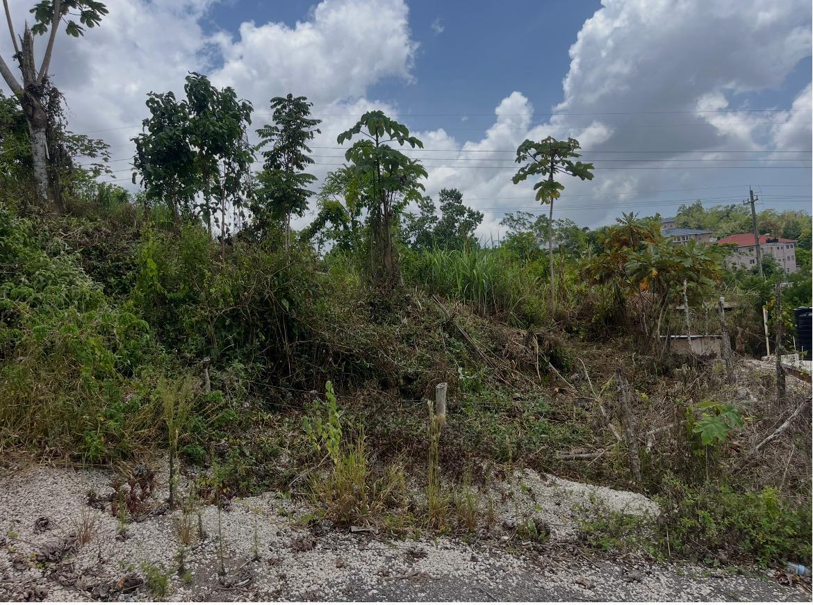 First image of 4 Daly's Grove in Knockpatirck, Manchester, Jamaica - property is For Sale
