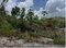 First image of 4 Daly's Grove in Knockpatirck, Manchester, Jamaica - property is For Sale