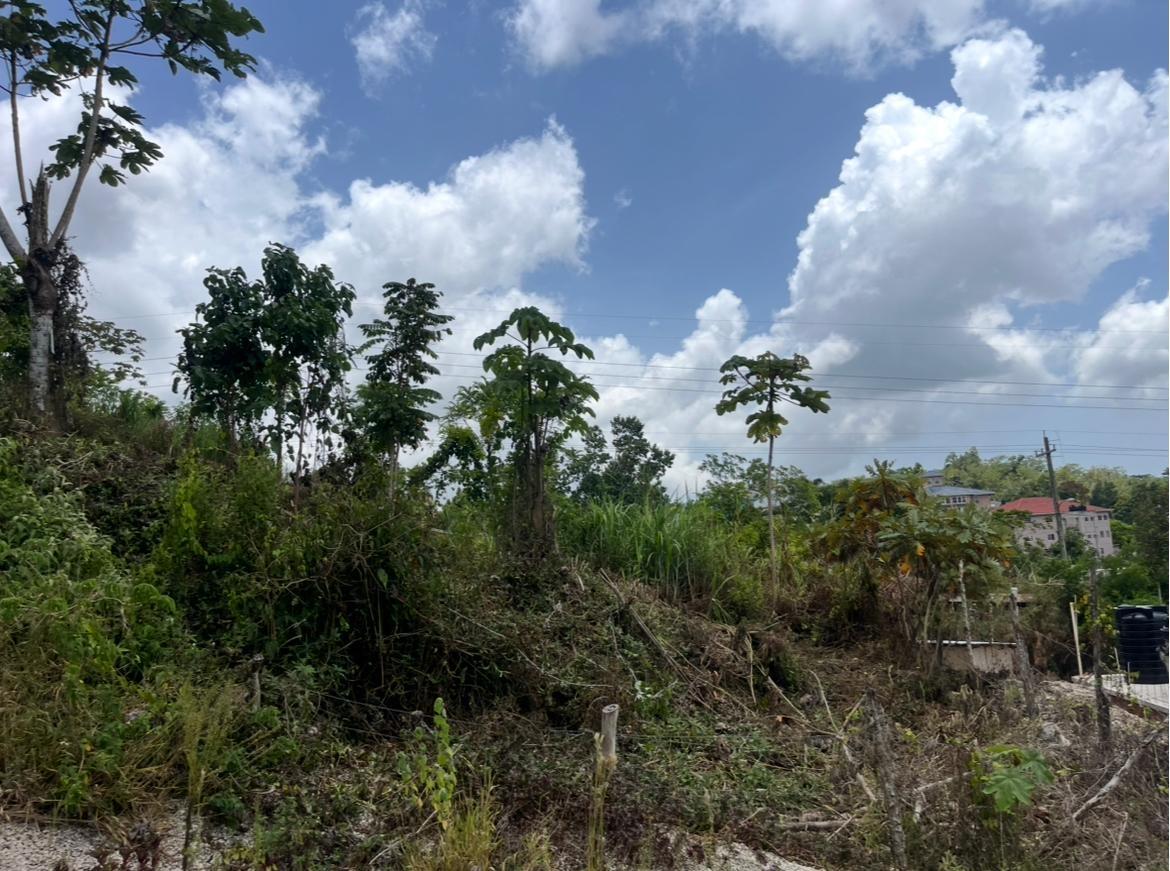 Third image of 4 Daly's Grove in Knockpatirck, Manchester, Jamaica - property is For Sale