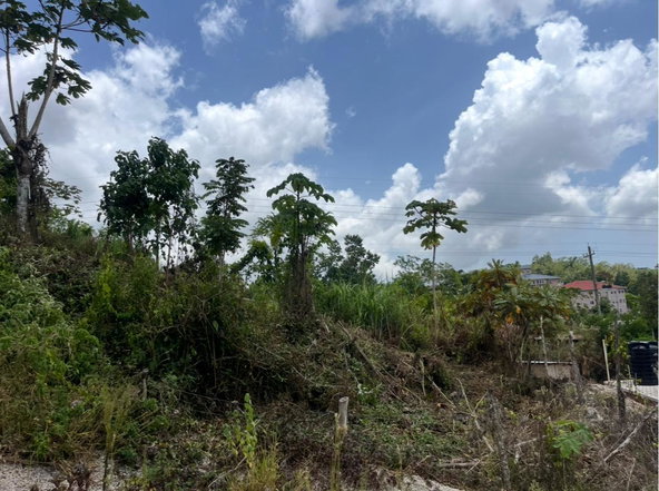 Third image of 4 Daly's Grove in Knockpatirck, Manchester, Jamaica - property is For Sale