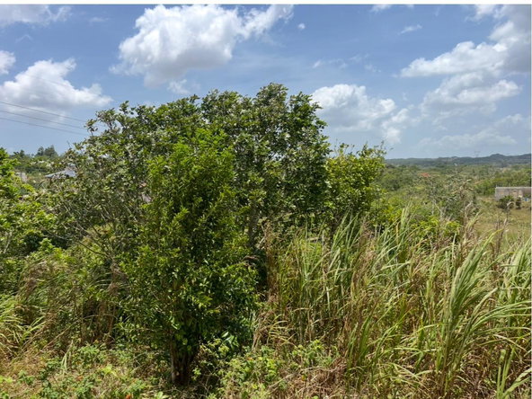 Fourth image of 4 Daly's Grove in Knockpatirck, Manchester, Jamaica - property is For Sale