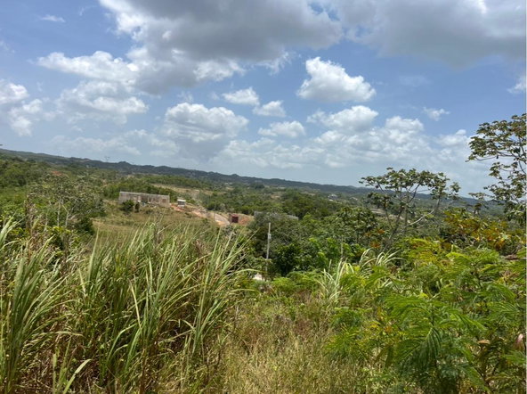 Fifth image of 4 Daly's Grove in Knockpatirck, Manchester, Jamaica - property is For Sale