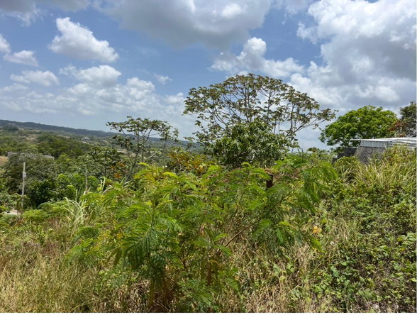 Sixth image of 4 Daly's Grove in Knockpatirck, Manchester, Jamaica - property is For Sale