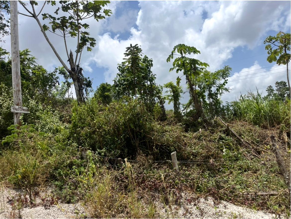 Seventh image of 4 Daly's Grove in Knockpatirck, Manchester, Jamaica - property is For Sale