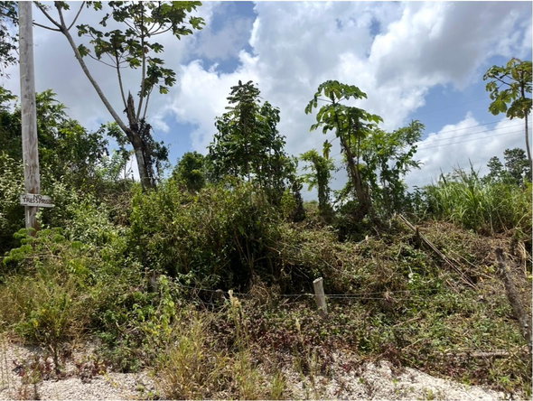 Seventh image of 4 Daly's Grove in Knockpatirck, Manchester, Jamaica - property is For Sale
