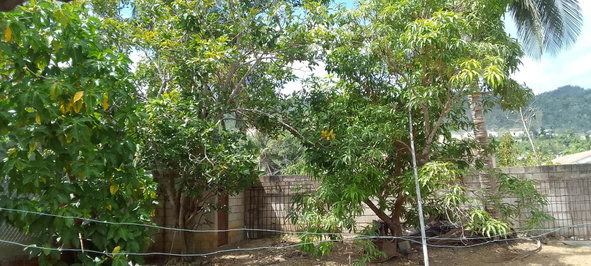 Twenty-Second image of Bogue Village, Montego ba in Bogue Village, St. James, Jamaica - property is For Rent