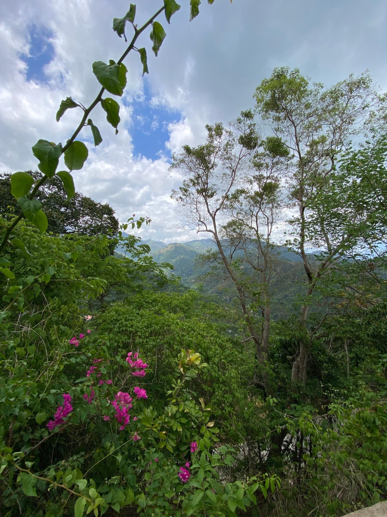 Eleventh image of 2 Ellerslie Way in Irish Town P.A., St. Andrew, Jamaica - property is For Sale