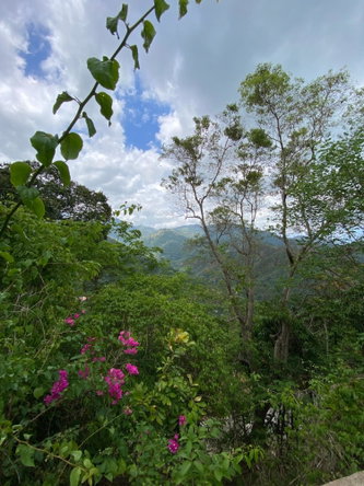 Eleventh image of 2 Ellerslie Way in Irish Town P.A., St. Andrew, Jamaica - property is For Sale