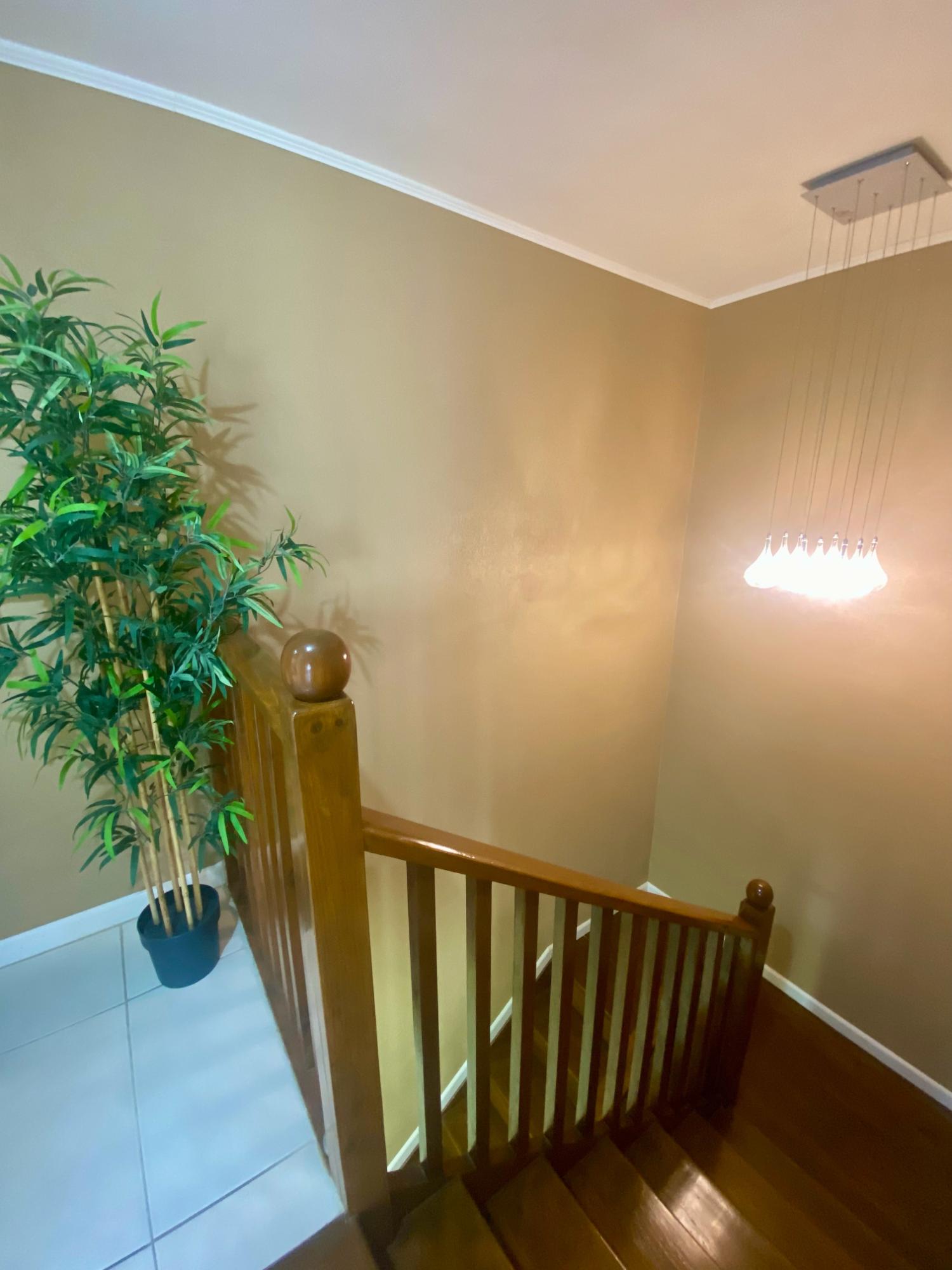 Tenth image of 17- Chatam And Palms in Montego Bay, St. James, Jamaica - property is For Rent