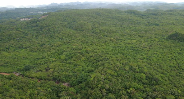 First image of 1 Paul Mountain in Pauls Mountain, St. Catherine, Jamaica - property is For Sale