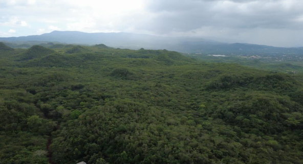 Tenth image of 1 Paul Mountain in Pauls Mountain, St. Catherine, Jamaica - property is For Sale