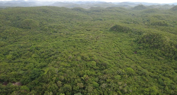 Eleventh image of 1 Paul Mountain in Pauls Mountain, St. Catherine, Jamaica - property is For Sale